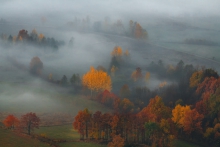 Autumn Daybreak