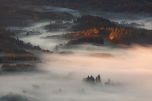 Autumn Morning Dream