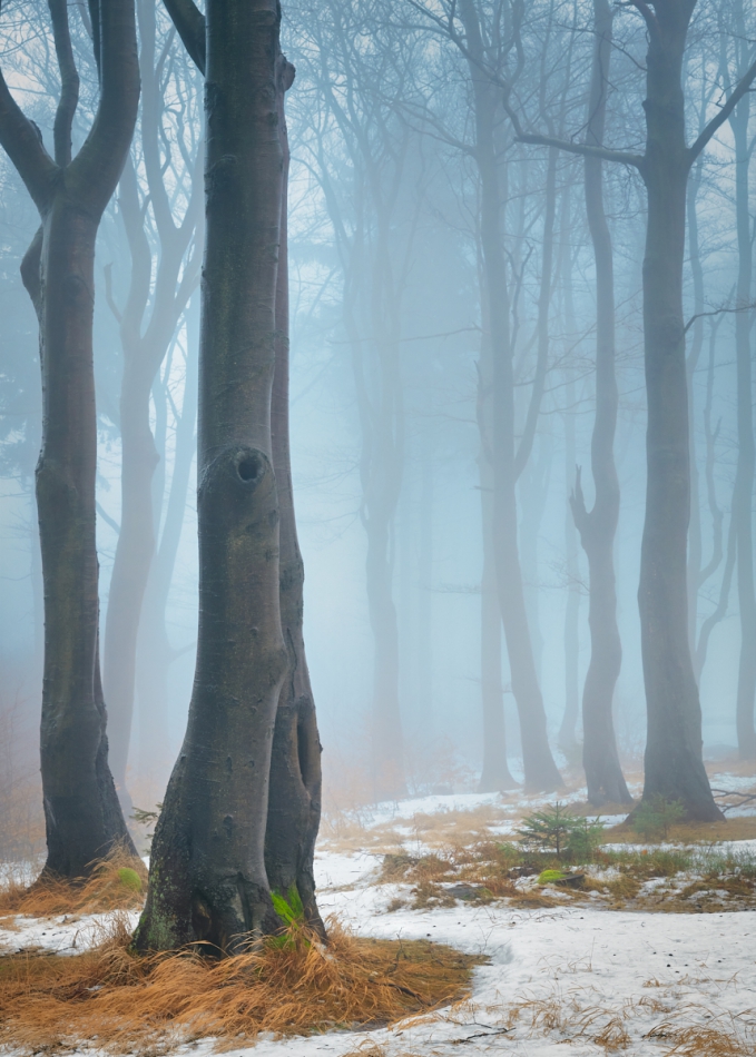 shooter76 - . . Zdjęcie 298287