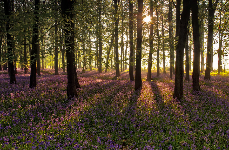 maniak666 - Mgły odparte. . Zdjęcie 77732