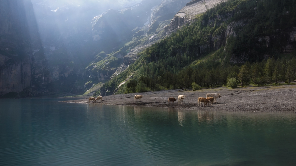 zbyszek2406 - . . Zdjęcie 274832