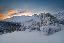 Ostatni poranek styczni...