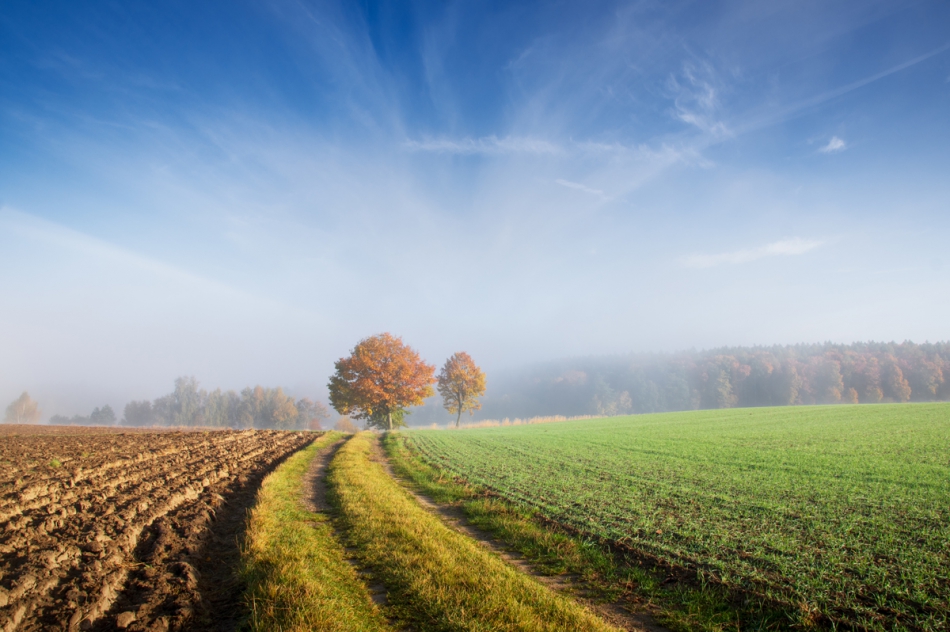 mikelspontan - Jesienna droga. . Zdjęcie 294584