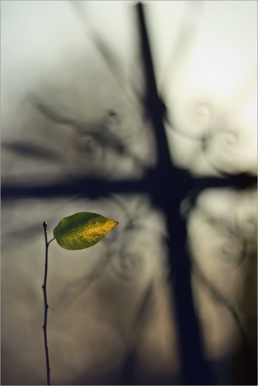 ja_majka - .... . Zdjęcie 107162