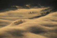 Pieniny