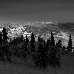 Zimowy krajobraz w czerni i bieli