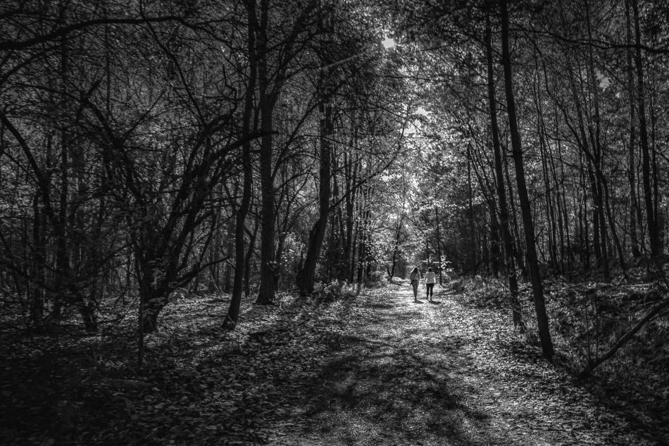 Walk. . Zdjęcie 339197