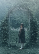 In the Wonderland 