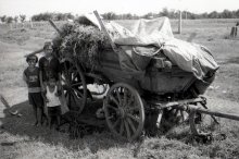 In the shadow of wagon