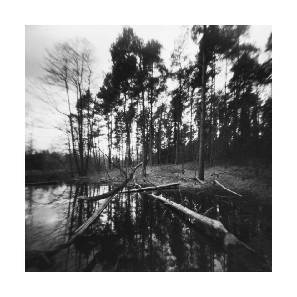 Brak tytułu. . Zdjęcie 337723