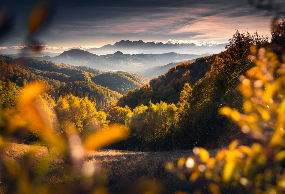 karol_nienartowicz - Jesień w Beskidach. Beskid Sądecki 10.2024. Zdjęcie 327508