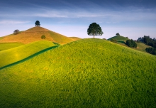Teletubbies Hills