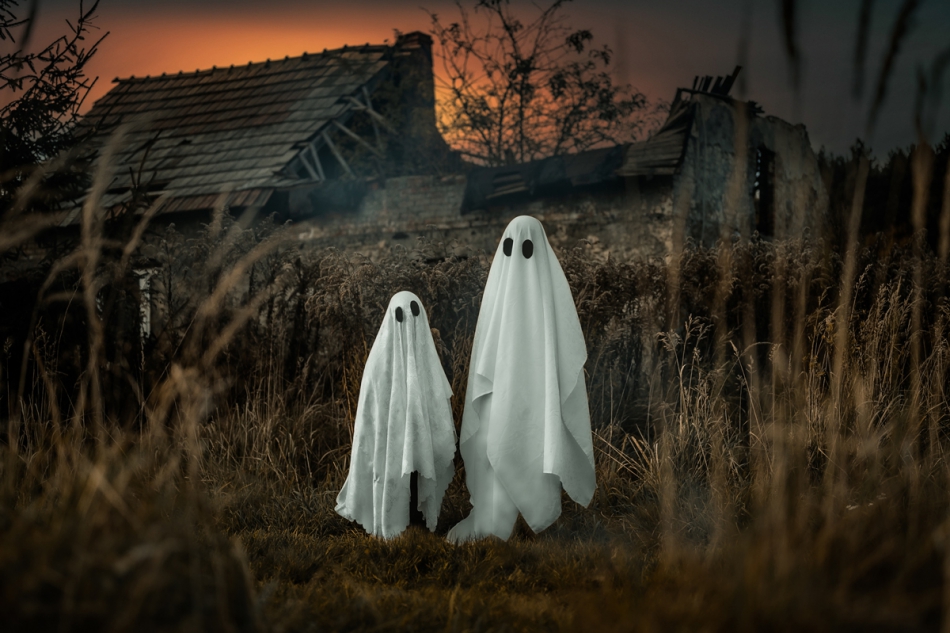 gaco - Halloween 22 . Jeśli ktoś chętny , zobaczyć tom samą scene z tamtego roku . Daje linka  https://www.fotoferia.pl/portfolio/gaco/photo/296129&status=gw. Zdjęcie 307975