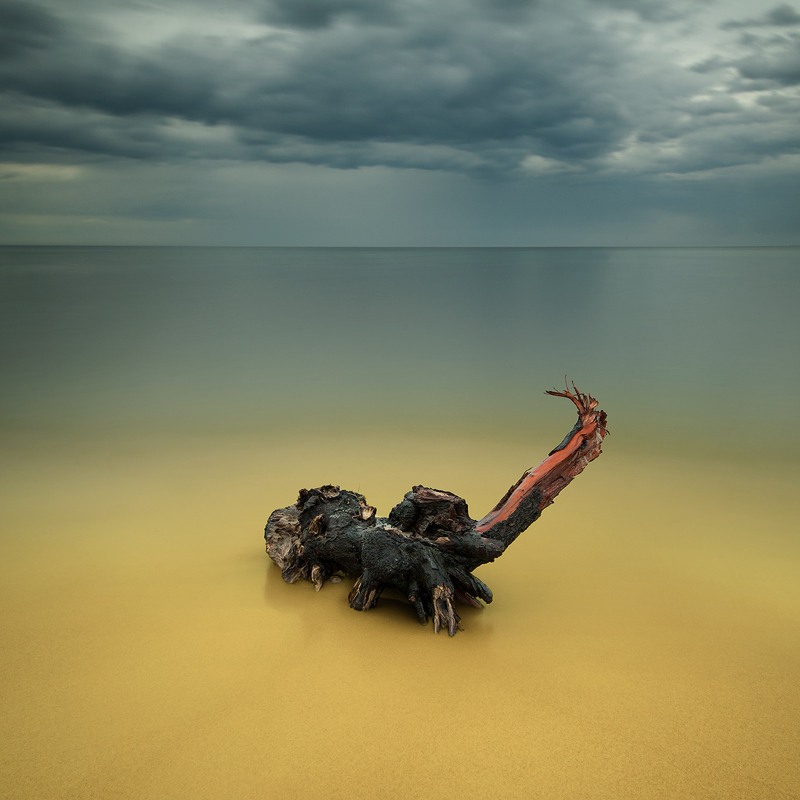 andrzej - Skorpion plażowy. . Zdjęcie 62330