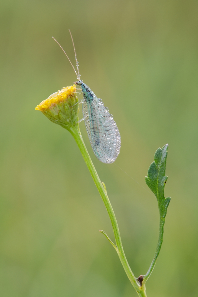 mariusz - . PE. Zdjęcie 176514
