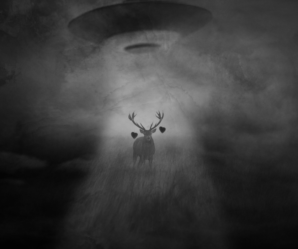 Love is in the Air. Miłość jest Kosmiczna ,wiec Happy Valentines Day :-)))). Zdjęcie 283549