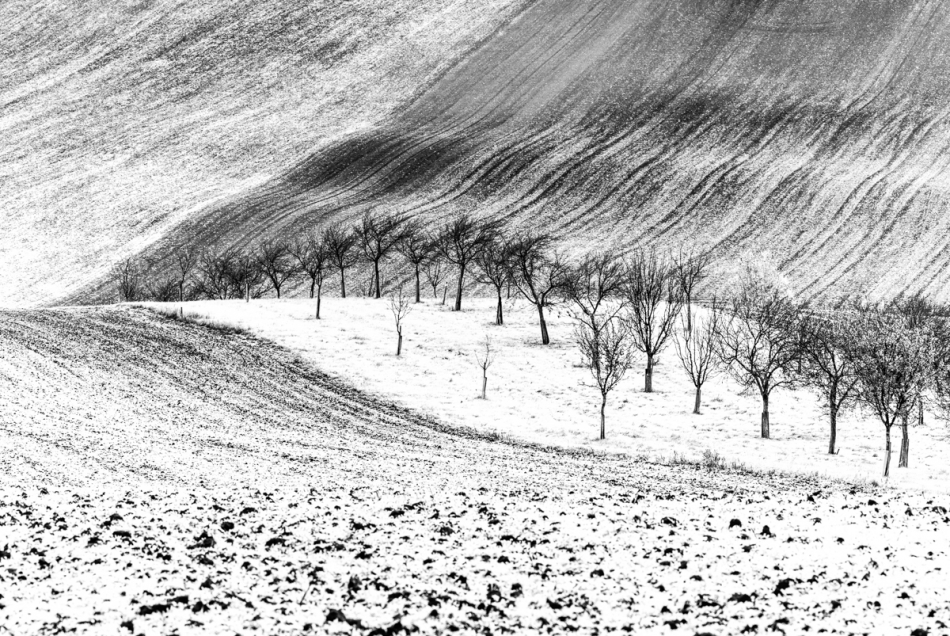 stefan1 - Morawy. . Zdjęcie 336577