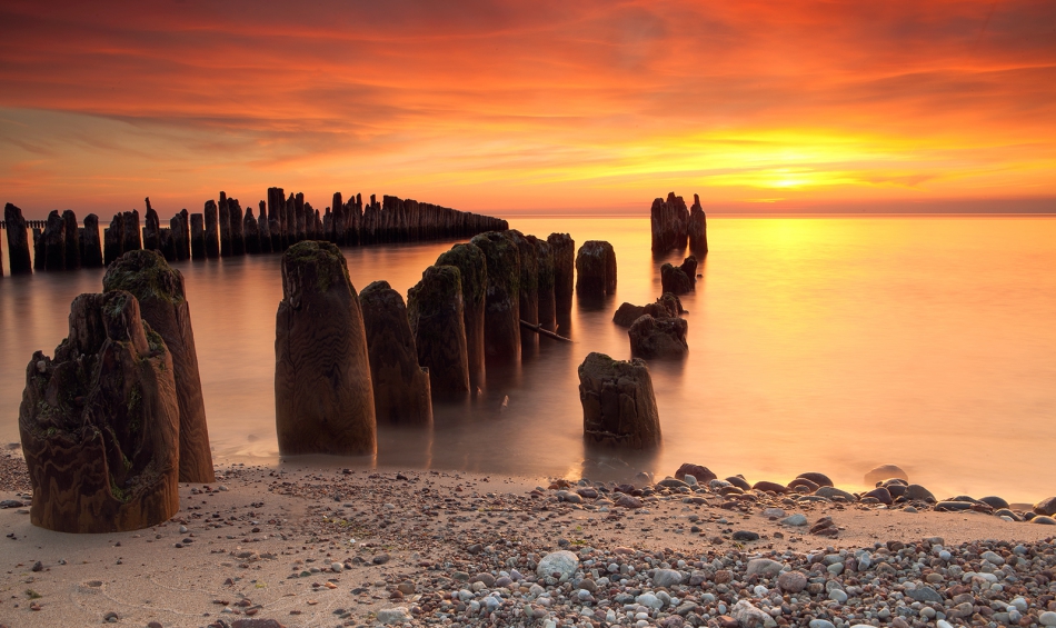 roman53 - . . Zdjęcie 317543