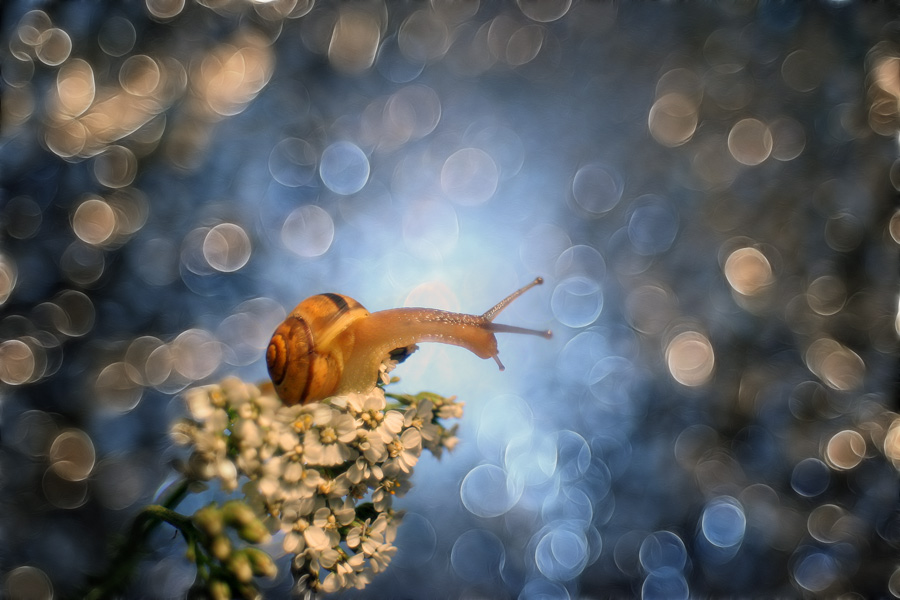 bluejeans - Nie patrz za siebie.... . Zdjęcie 141165