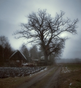 Ojcowizna