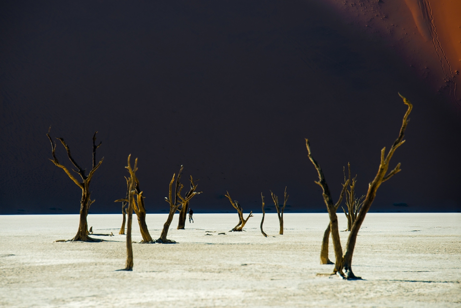 fotoel - . . Zdjęcie 195001