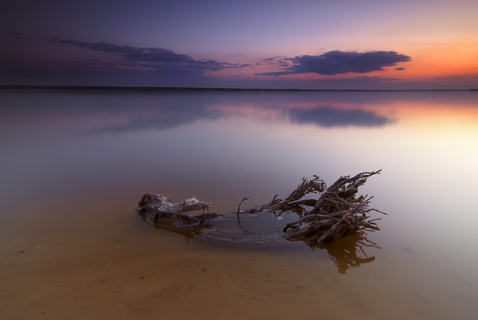 siwypz - *. . Zdjęcie 89231