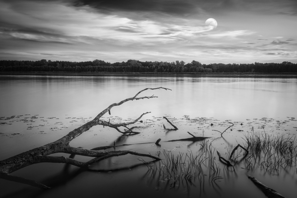 shooter76 - . . Zdjęcie 319051