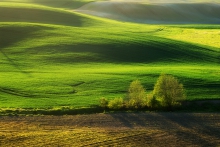 Wiosna