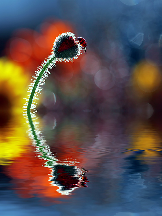 bluejeans - Czas na kąpiel. . Zdjęcie 108106