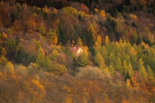 Jest taki samotny dom