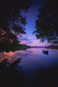 The Dream of a Summer E...