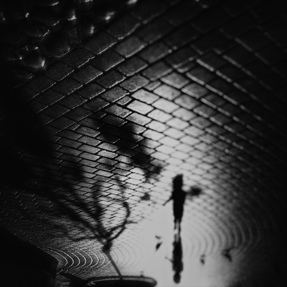 akrims - . . Zdjęcie 328645