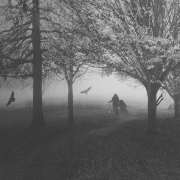 Ghosts of past