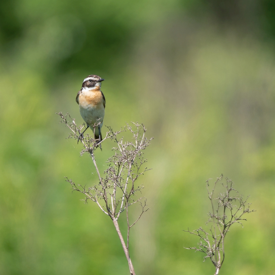 tomeq67 - . . Zdjęcie 272983