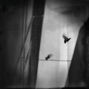 escape