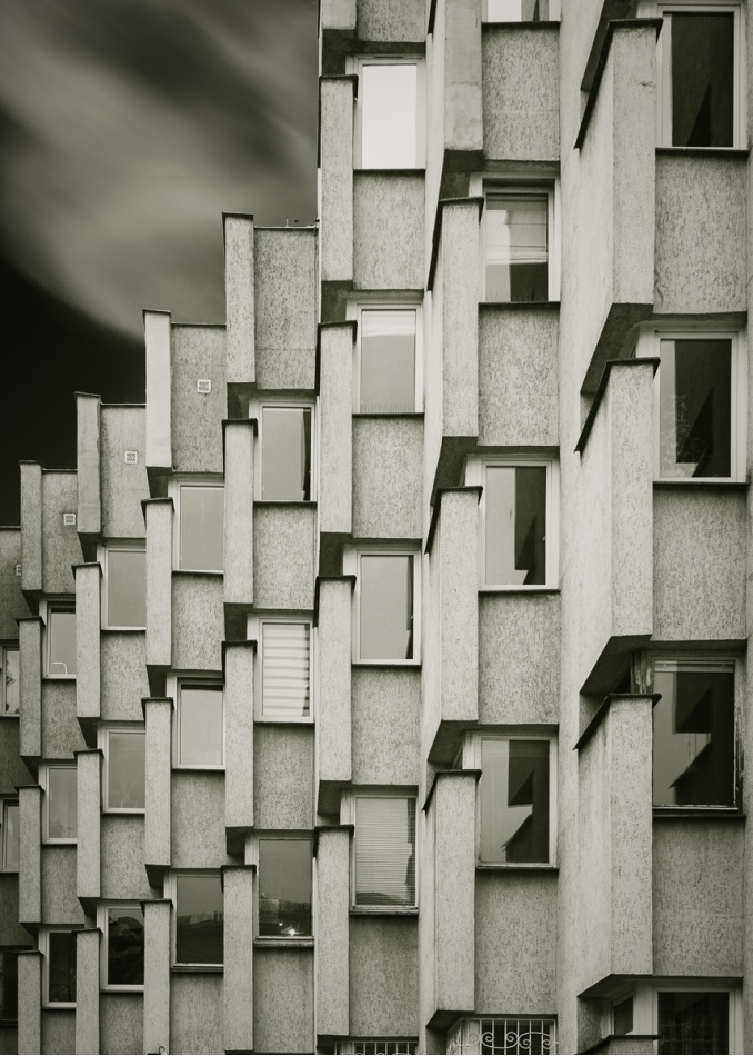 .. . Zdjęcie 337135