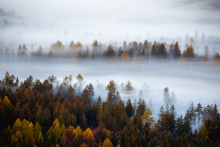 Autumn Deluxe...