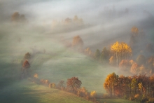 An Autumn's Tale...