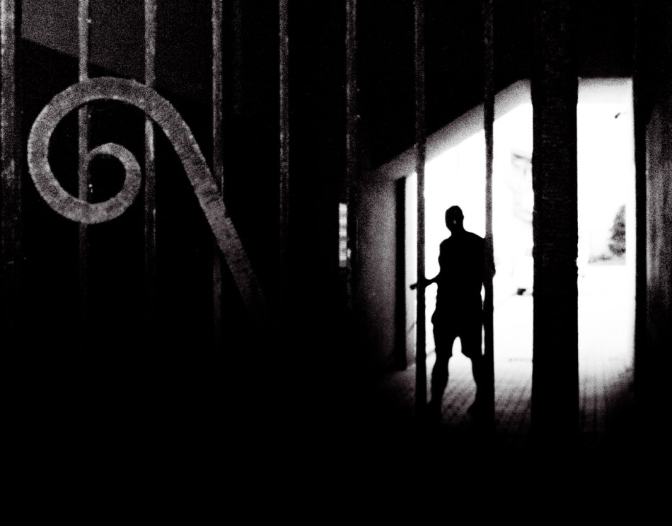 -. -. Zdjęcie 339241