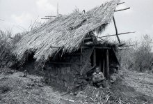 Mud house