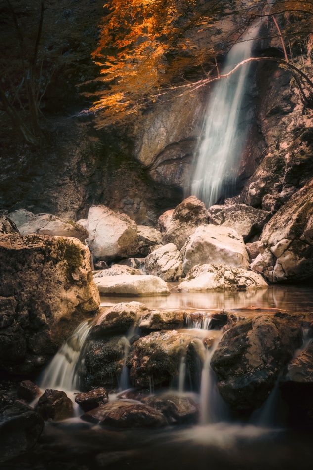 *. . Zdjęcie 337290