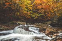 Autumn, Act One.