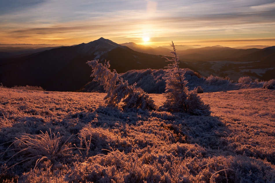 szymon_59 - . Bieszczady 2020. Zdjęcie 285054