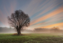 Tęczą kolorów malowane