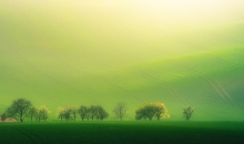 Wiosna na Morawach.