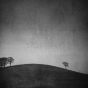 On the Hill