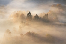 The Poetry of Light ...