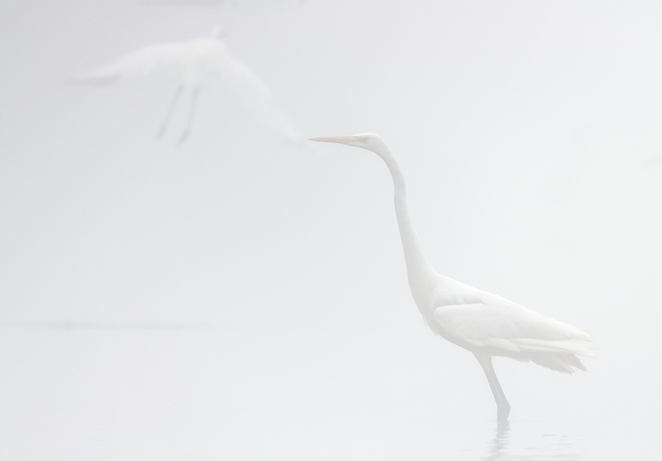 robertsoul - Wróć do mnie... . PE. Zdjęcie 151415