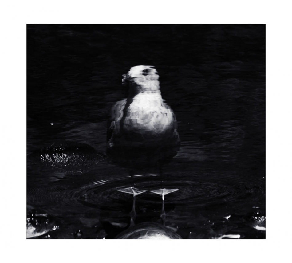 .... https://www.youtube.com/watch?v=bPSYEvBWp0g&list=RDbPSYEvBWp0g&start_radio=1. Zdjęcie 336796