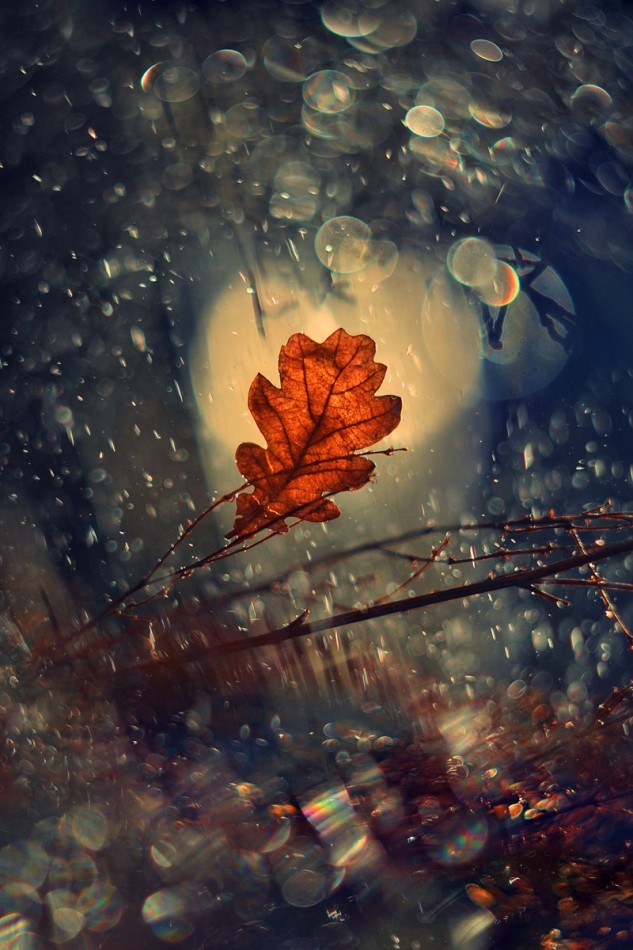 .... PE. Zdjęcie 337992